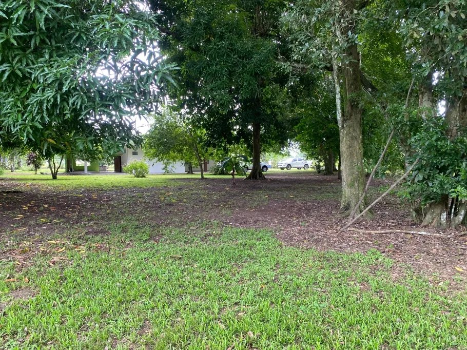Park-Like Acreage with Endless Potential