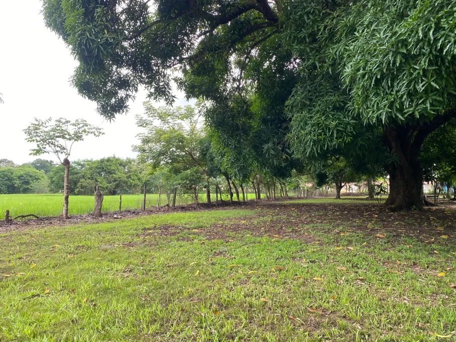 Park-Like Acreage with Endless Potential