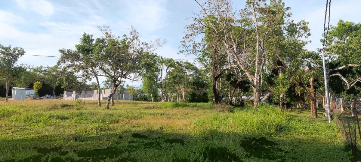 Scenic building lot with enchanting mountain views
