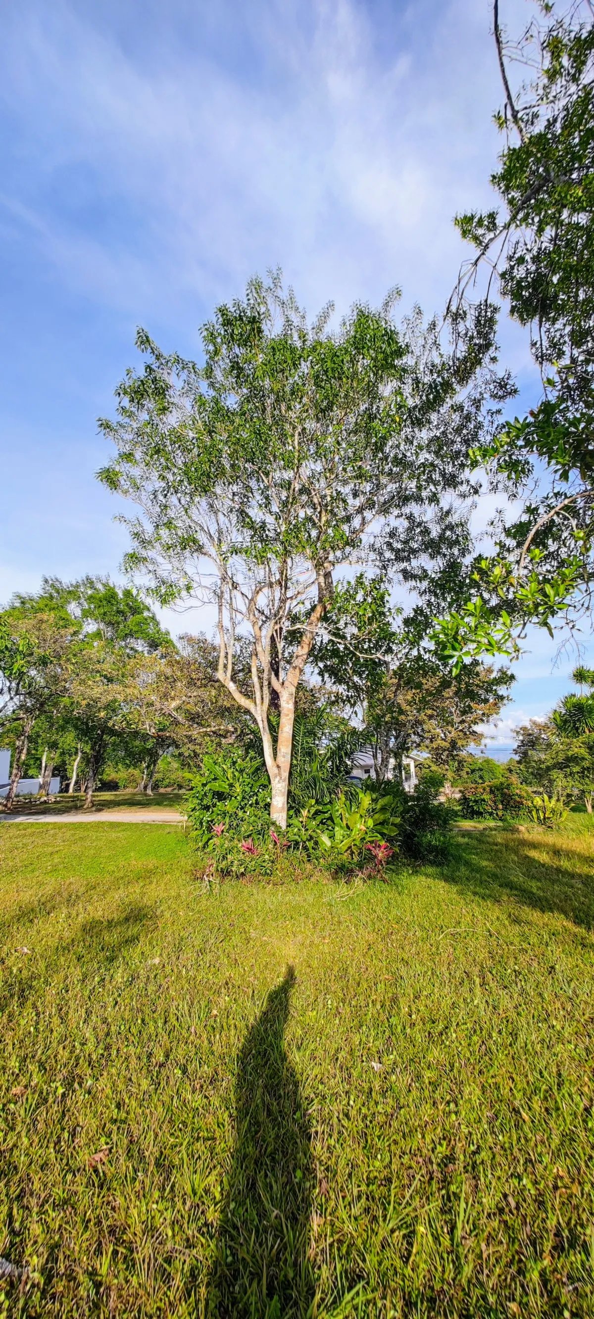 Scenic building lot with enchanting mountain views