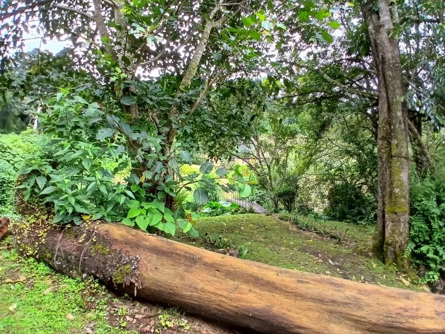 Beautiful park property in a refreshing high-altitude location