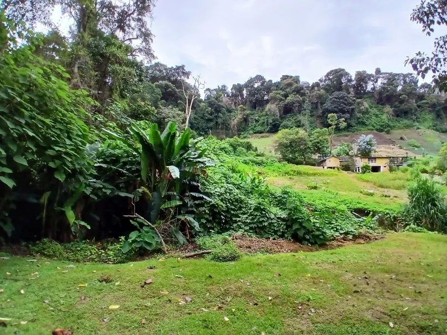 Beautiful park property in a refreshing high-altitude location