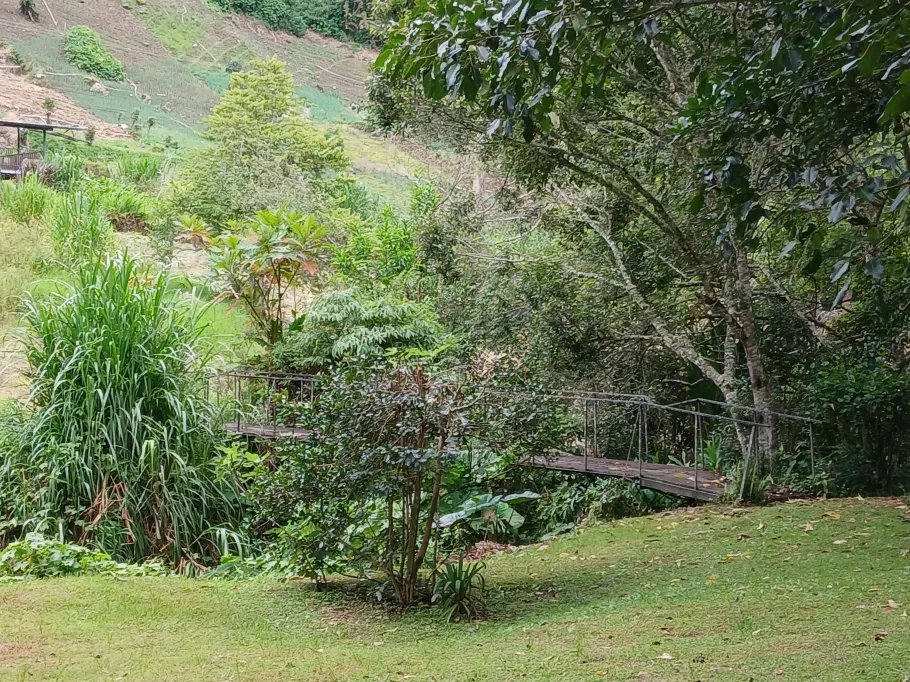 Beautiful park property in a refreshing high-altitude location