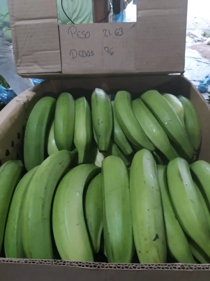 Farm For Sale in Cuango
