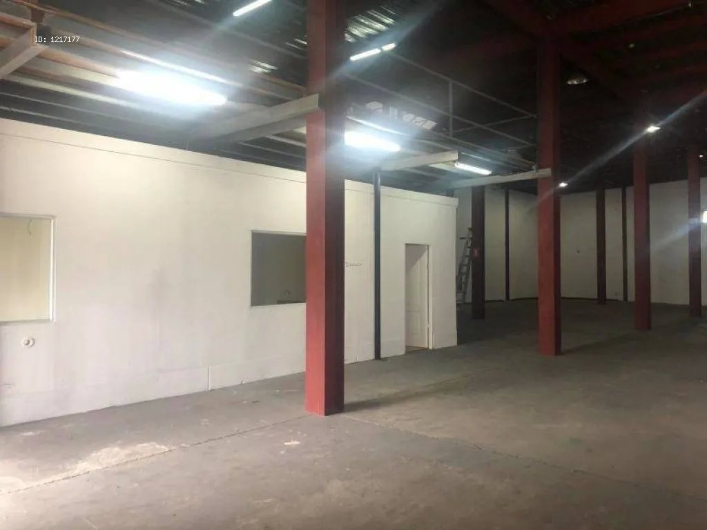 Bodega en Alquiler Costa del Este
