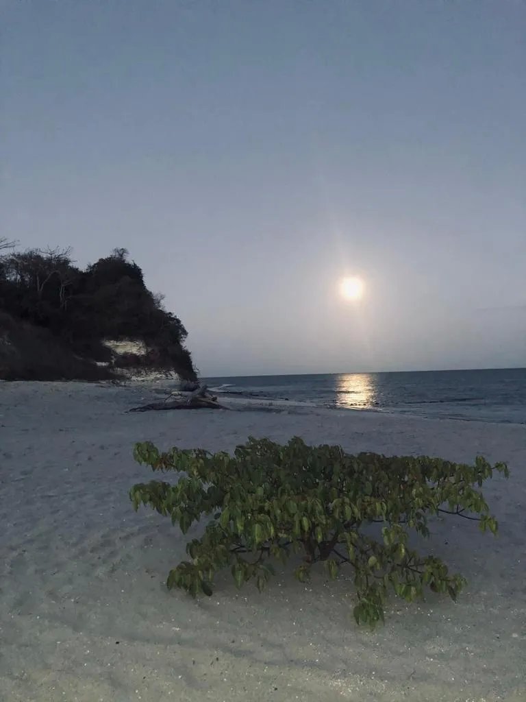 SE VENDE HERMOSO APARTAMENTO EN PLAYA DEL SOL