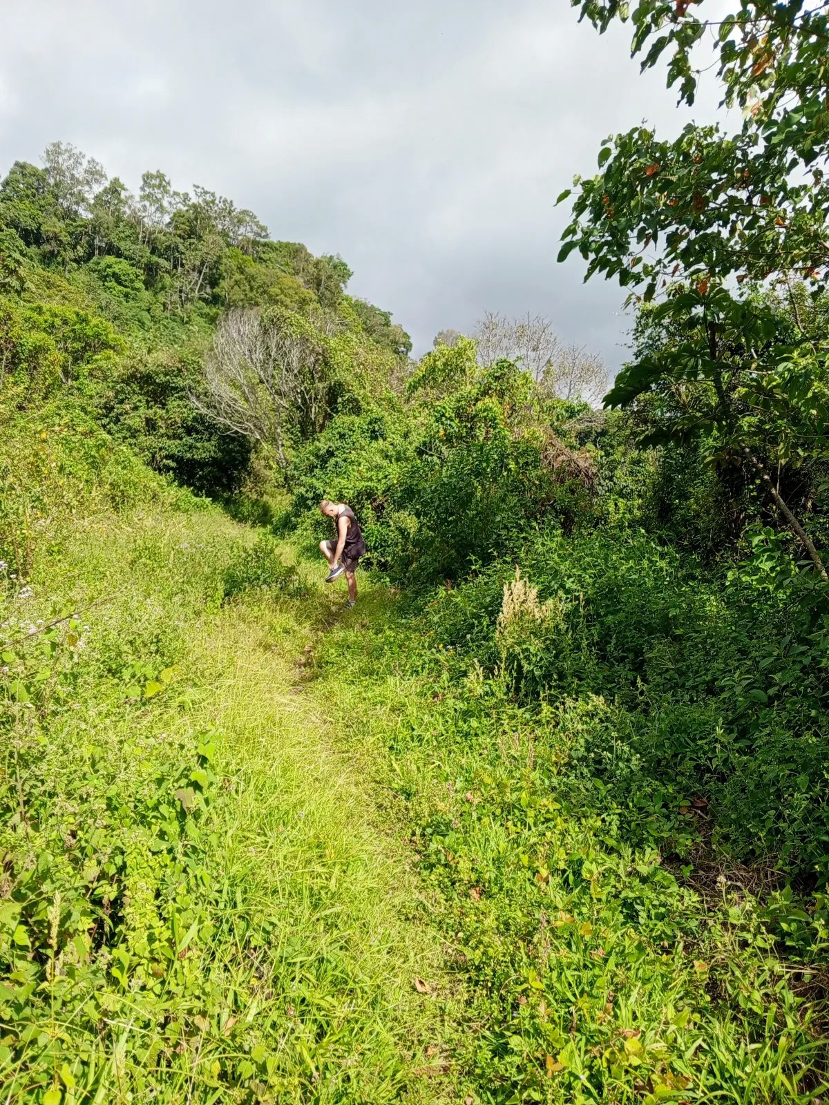 Finca de 21.7 Hectáreas en Venta en Santa Rosa, Bugaba, Chiriquí, Panamá | Tierra Agrícola de Altura y Oportunidad de Inversión