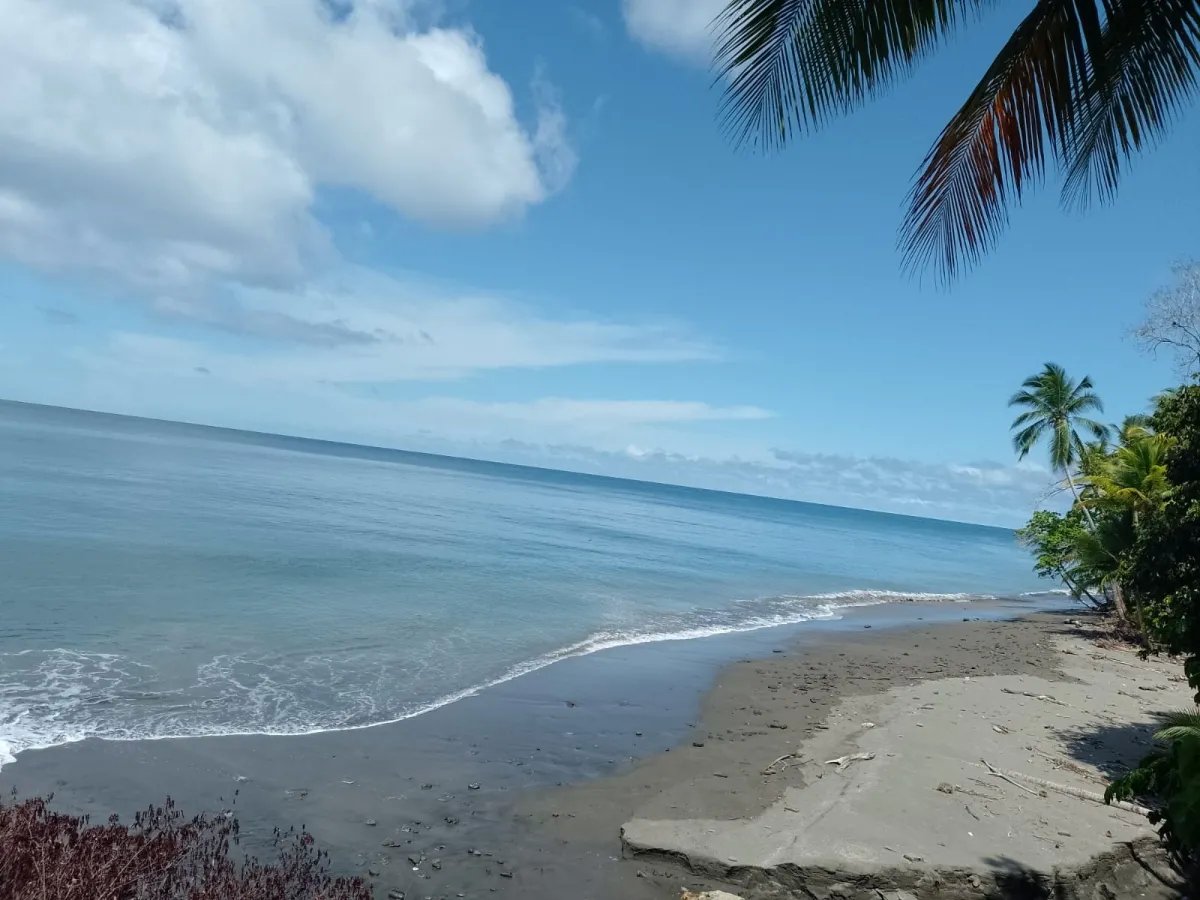 Terreno en Venta en Limones, Puerto Armuelles, Chiriquí, Panamá | Opor...