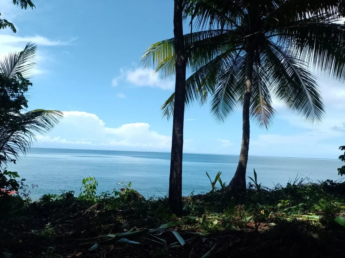 Terreno en Venta en Limones, Puerto Armuelles, Chiriquí, Panamá | Opor...