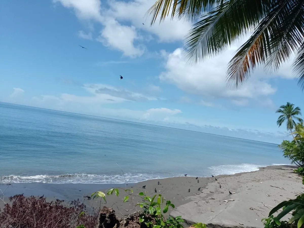 Terreno en Venta en Limones, Puerto Armuelles, Chiriquí, Panamá | Oportunidad para Desarrollo de Uso Mixto