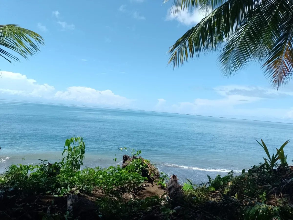 Terreno en Venta en Limones, Puerto Armuelles, Chiriquí, Panamá | Oportunidad para Desarrollo de Uso Mixto