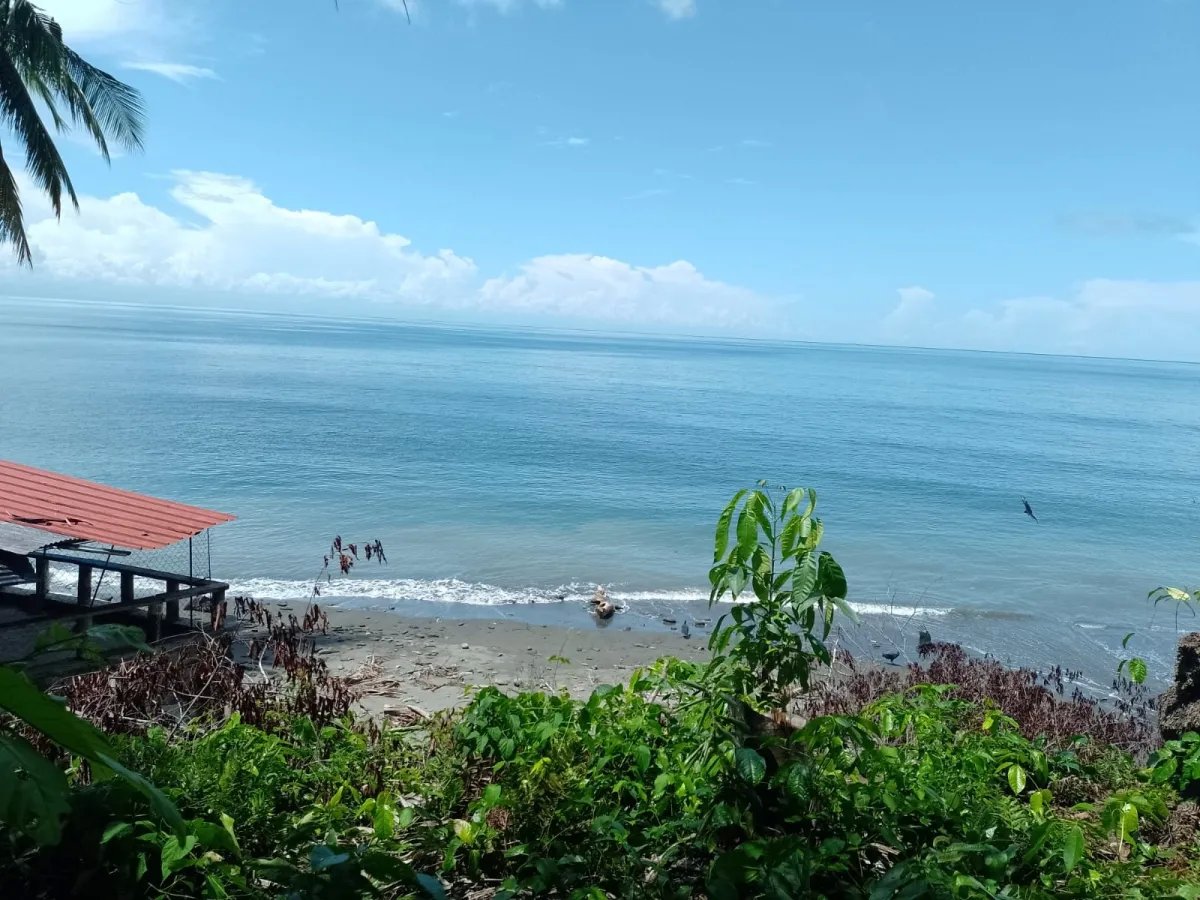 Terreno en Venta en Limones, Puerto Armuelles, Chiriquí, Panamá | Oportunidad para Desarrollo de Uso Mixto