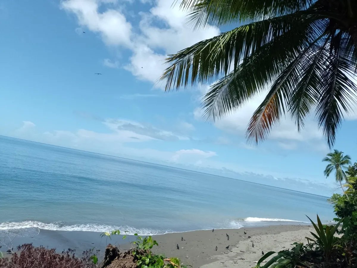 Terreno en Venta en Limones, Puerto Armuelles, Chiriquí, Panamá | Oportunidad para Desarrollo de Uso Mixto