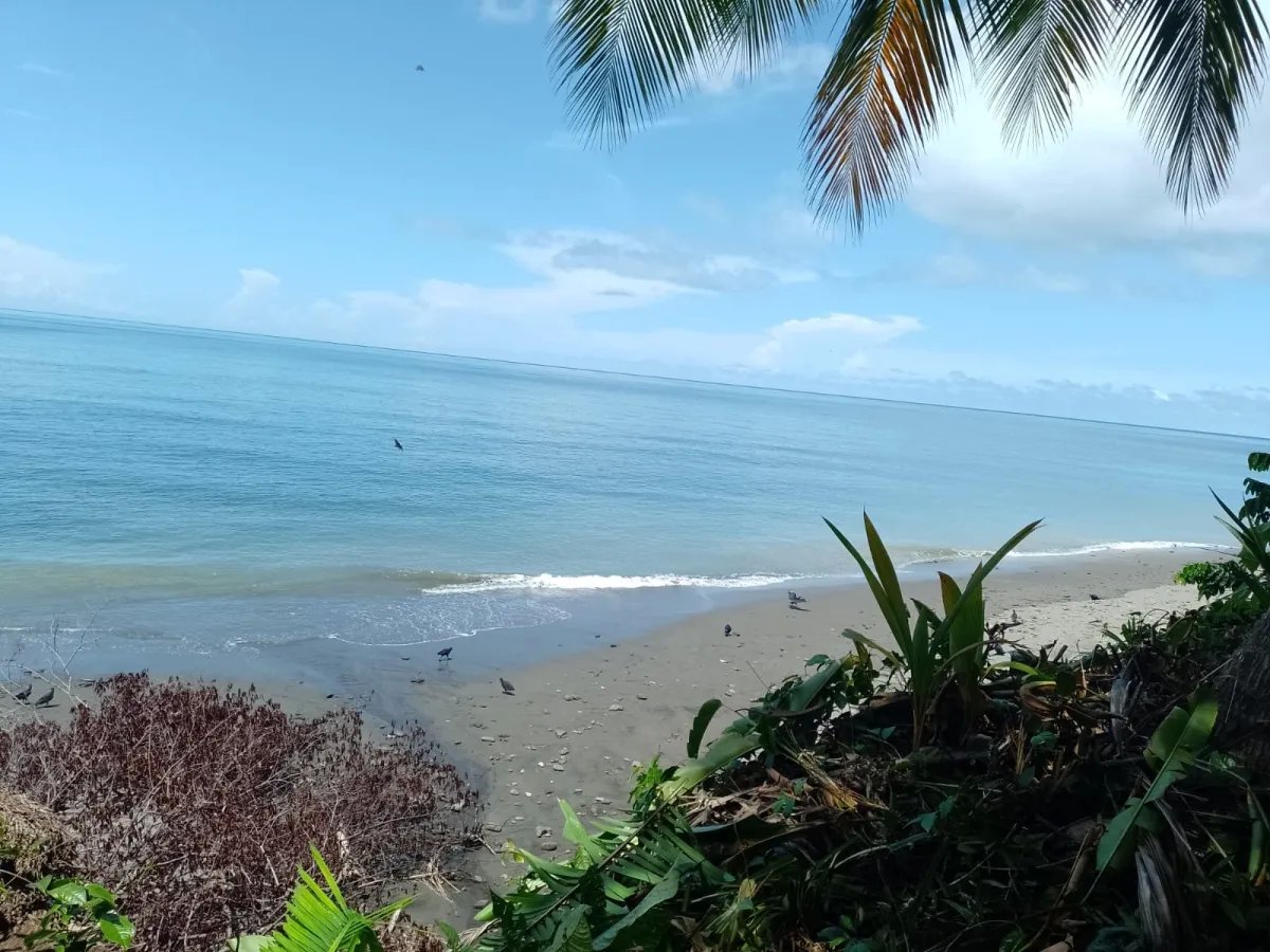 Terreno en Venta en Limones, Puerto Armuelles, Chiriquí, Panamá | Oportunidad para Desarrollo de Uso Mixto