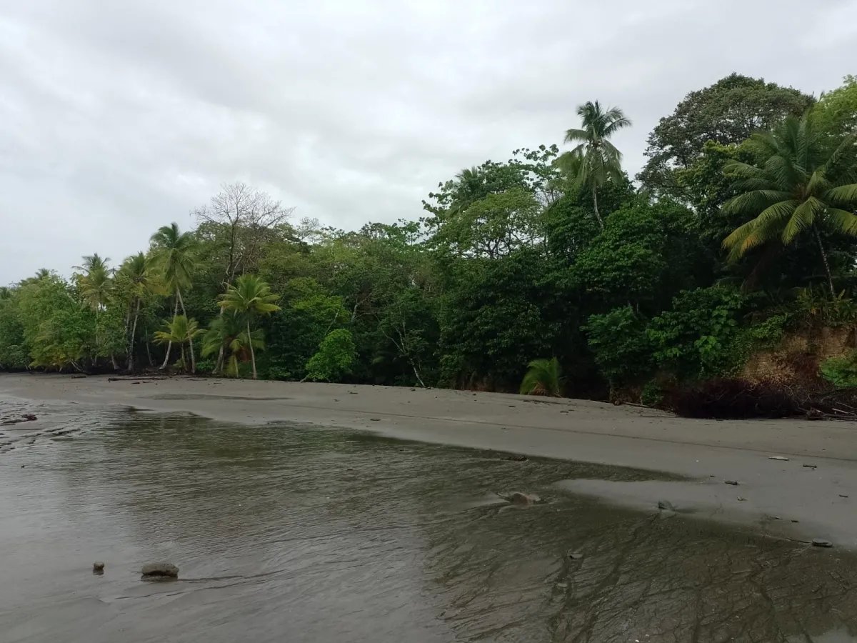 Terreno en Venta en Limones, Puerto Armuelles, Chiriquí, Panamá | Oportunidad para Desarrollo de Uso Mixto