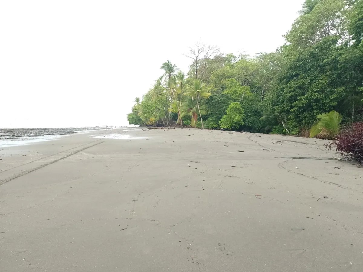 Terreno en Venta en Limones, Puerto Armuelles, Chiriquí, Panamá | Oportunidad para Desarrollo de Uso Mixto