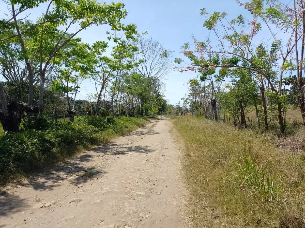 Terreno en Venta en Limones, Puerto Armuelles, Chiriquí, Panamá | Oportunidad para Desarrollo de Uso Mixto