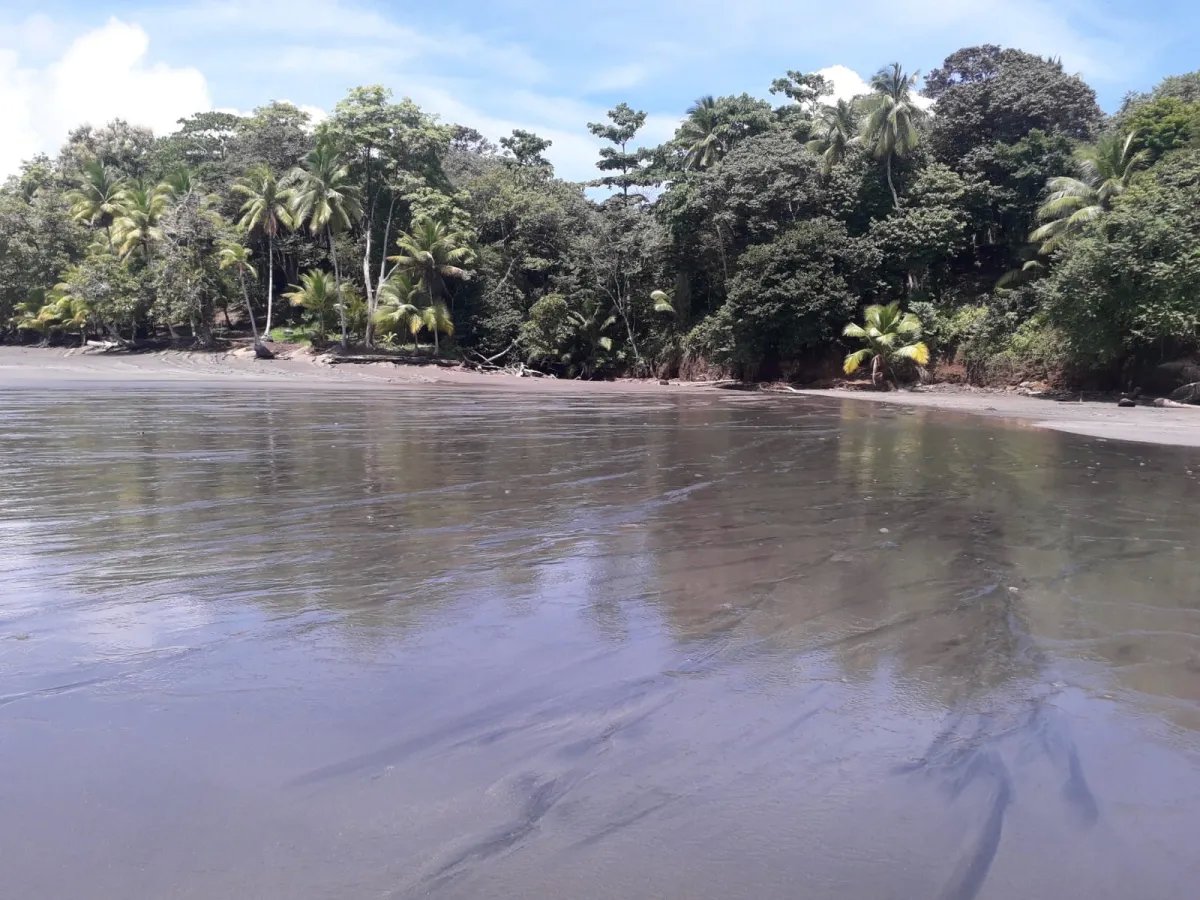 Terreno en Venta en Limones, Puerto Armuelles, Chiriquí, Panamá | Oportunidad para Desarrollo de Uso Mixto