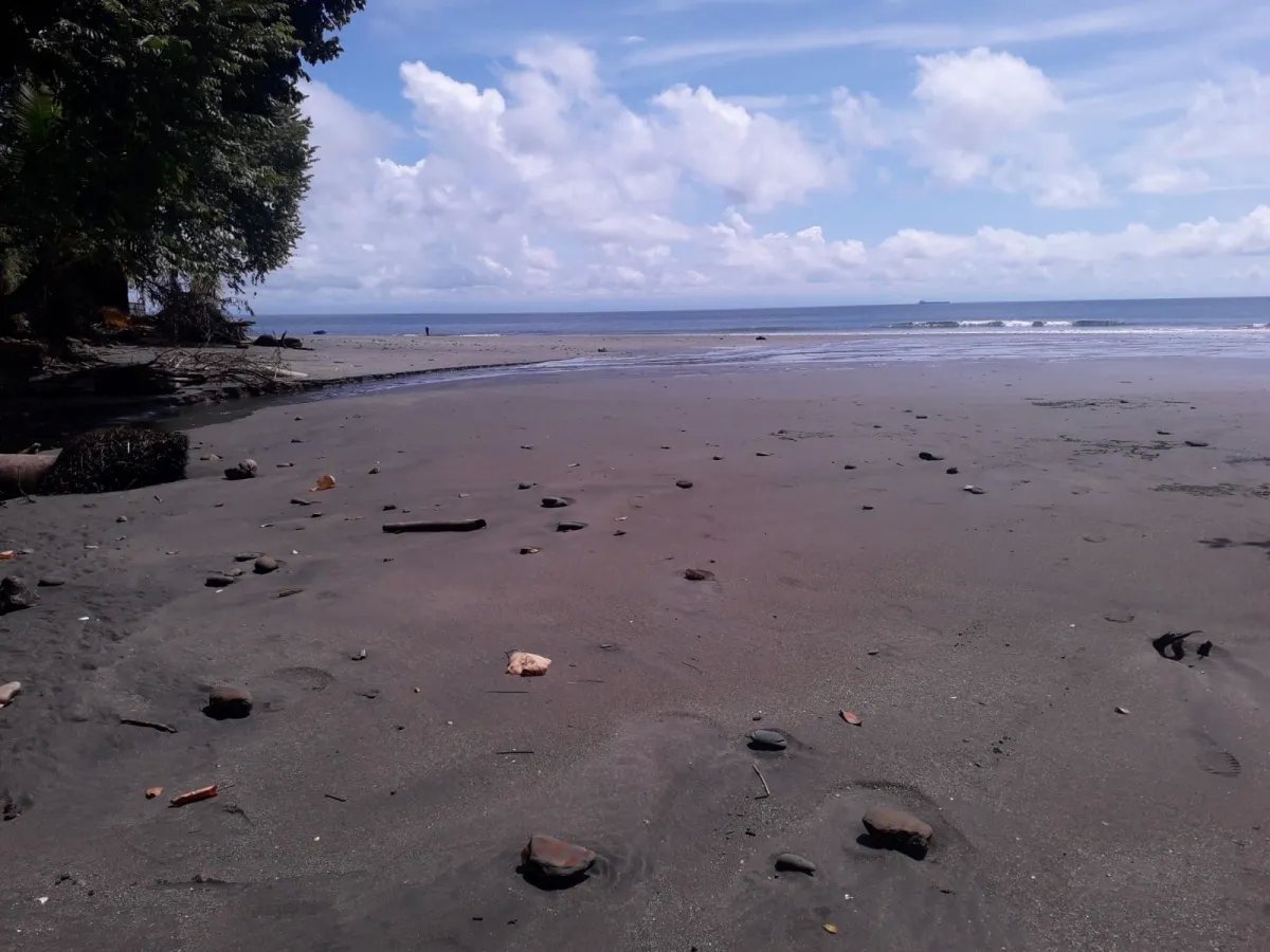Terreno en Venta en Limones, Puerto Armuelles, Chiriquí, Panamá | Oportunidad para Desarrollo de Uso Mixto