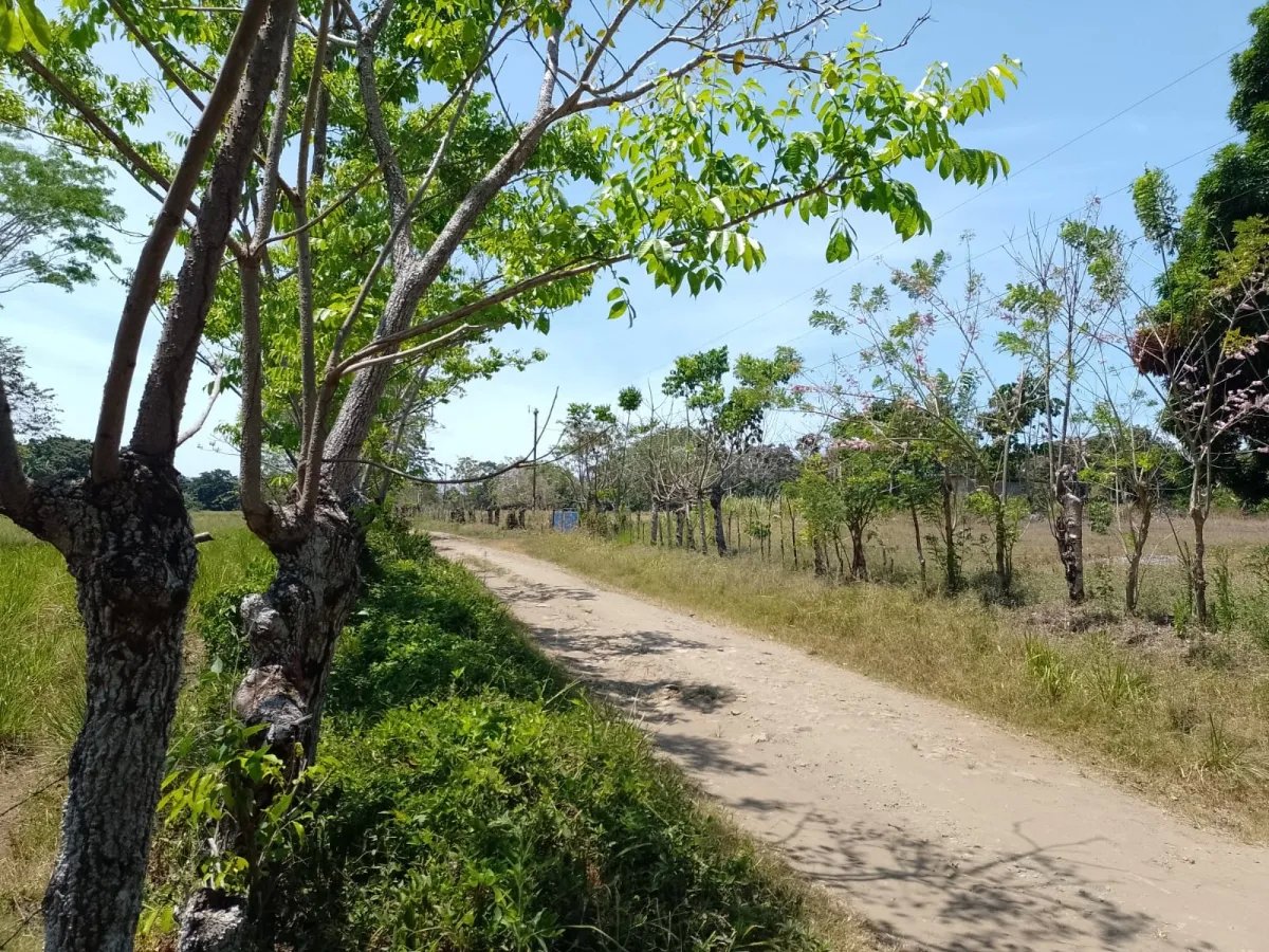 Terreno en Venta en Limones, Puerto Armuelles, Chiriquí, Panamá | Oportunidad para Desarrollo de Uso Mixto