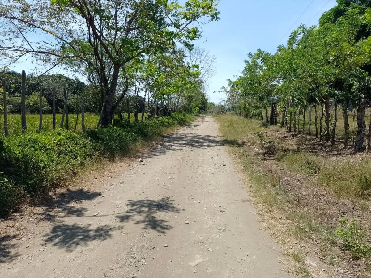 Terreno en Venta en Limones, Puerto Armuelles, Chiriquí, Panamá | Oportunidad para Desarrollo de Uso Mixto
