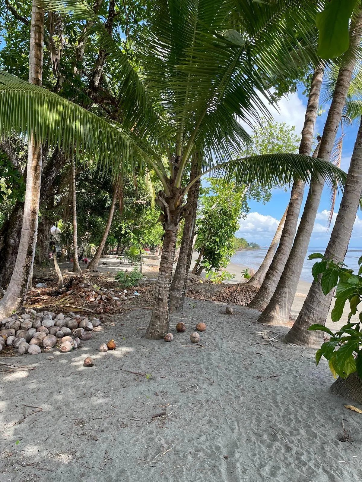 Limones, Puerto Armuelles Beach Front Lot