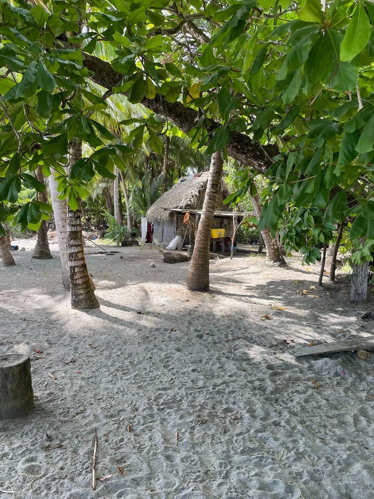 Limones, Puerto Armuelles Beach Front Lot