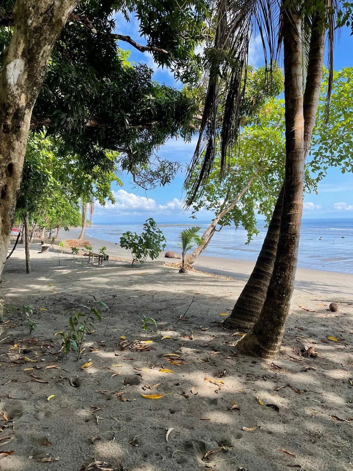 Limones, Puerto Armuelles Beach Front Lot