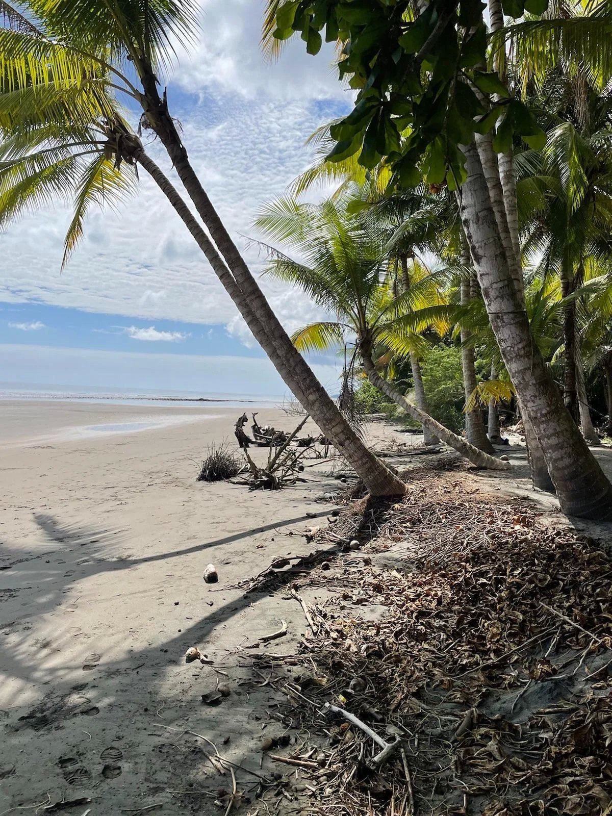 Limones, Puerto Armuelles Beach Front Lot