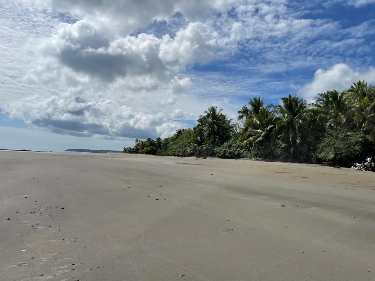 Limones, Puerto Armuelles Beach Front Lot