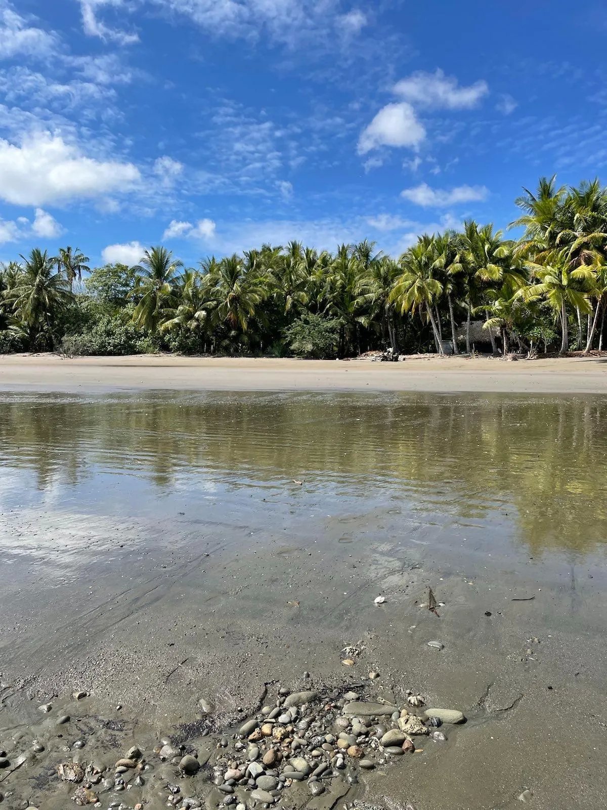 Limones, Puerto Armuelles Beach Front Lot