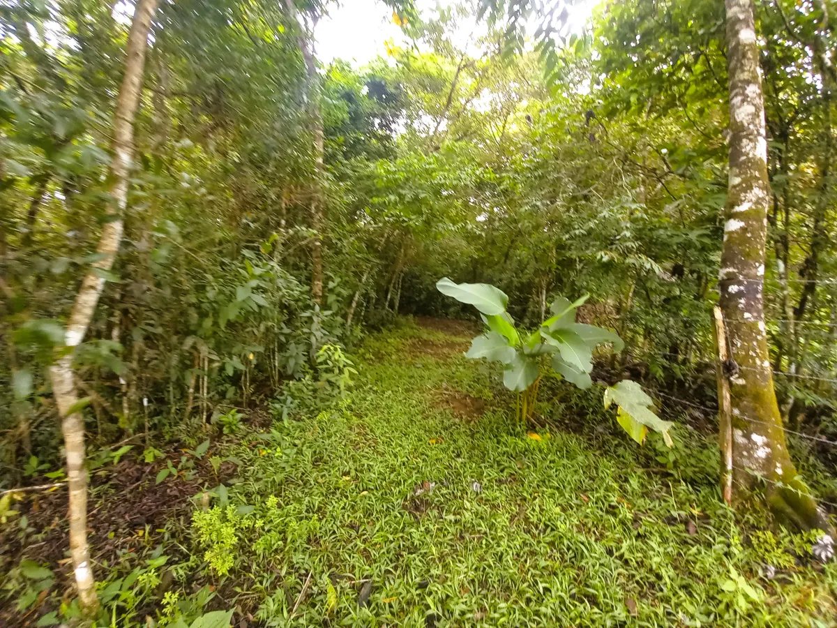 Lote a la Venta en Potrerillos | 6059?m² | Chiriqui |  Panama
