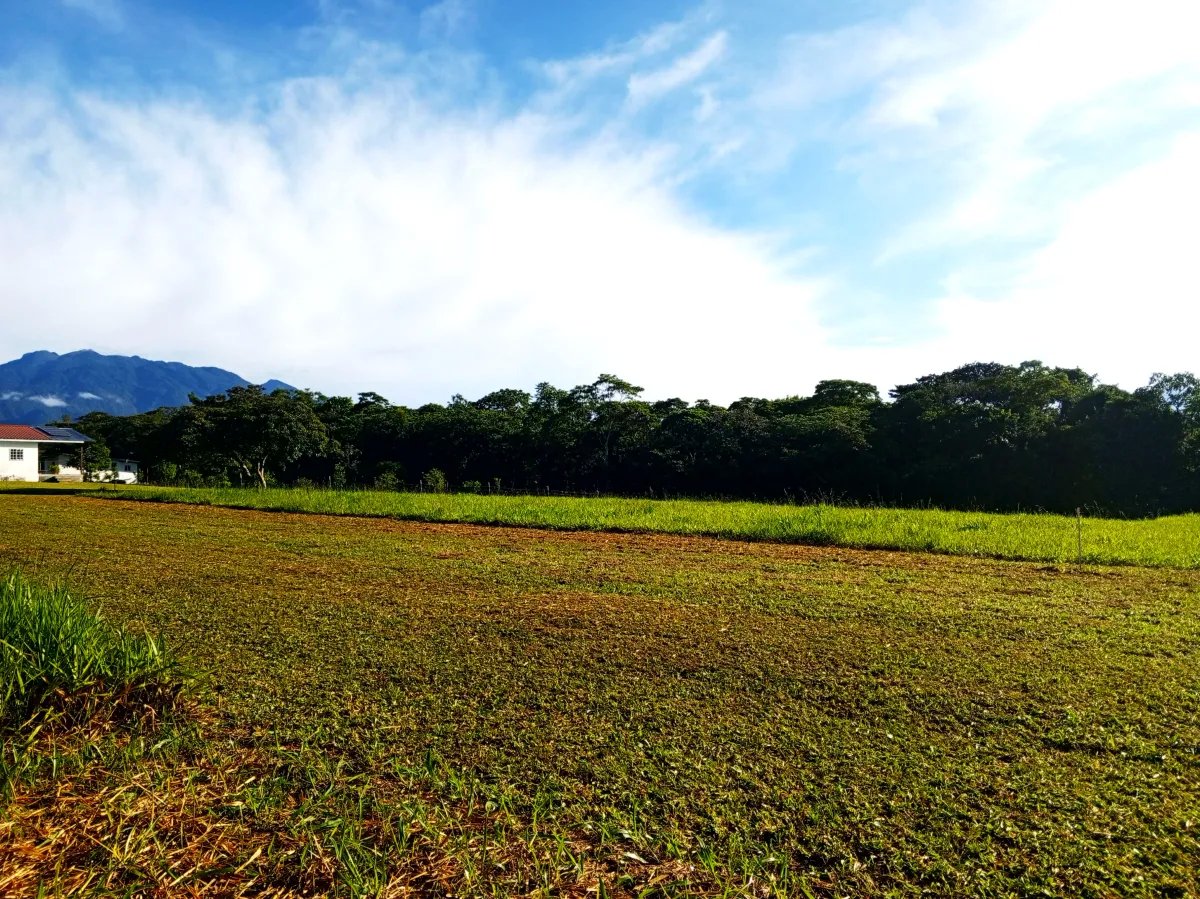 Lote a la Venta en Potrerillos | 6059?m² | Chiriqui |  Panama