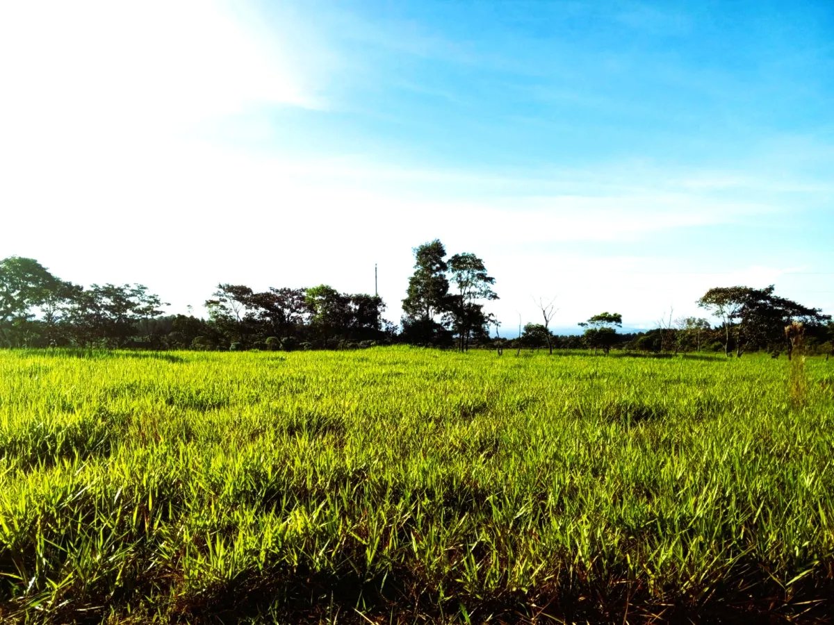 Lote a la Venta en Potrerillos |  5,879?m² |  Chiriqui  Panama