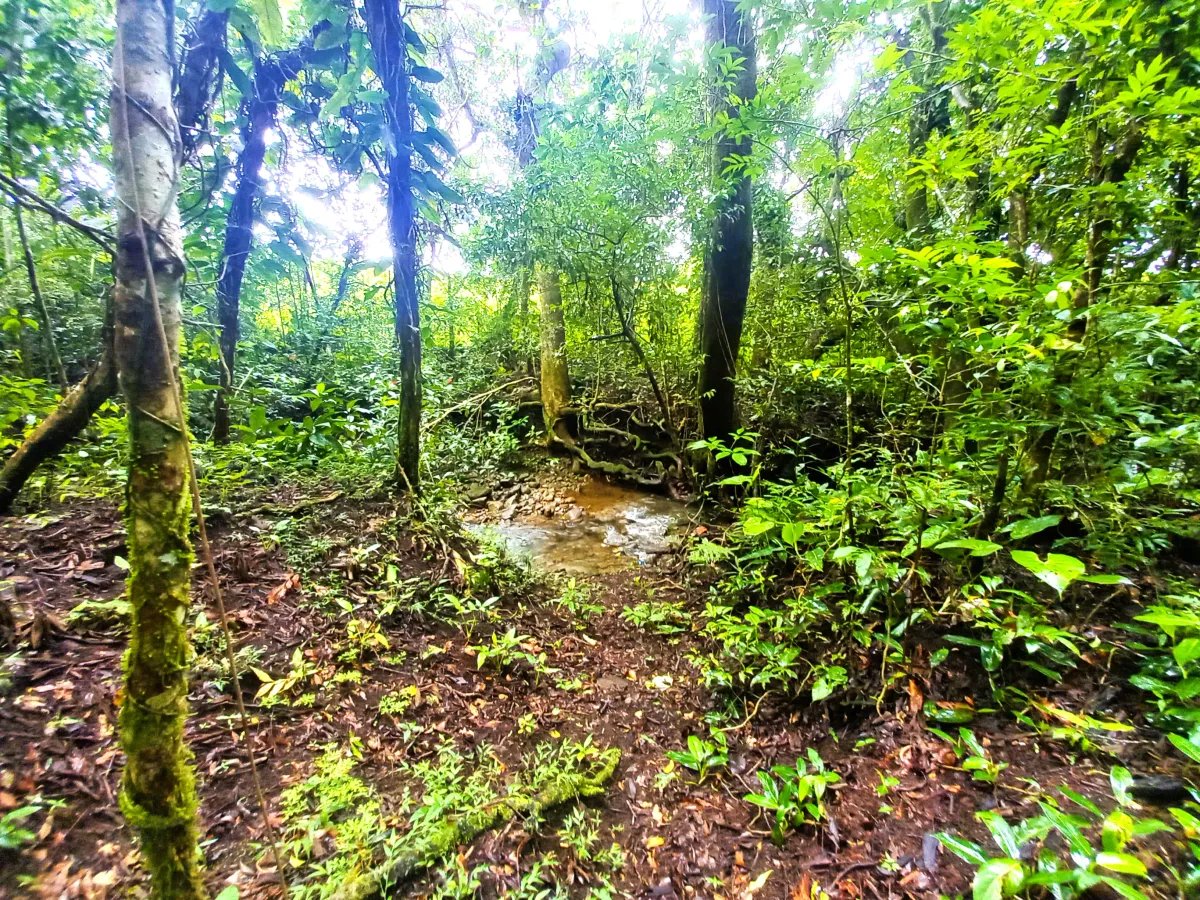 Lote a la Venta en Potrerillos |  5,879?m² |  Chiriqui  Panama
