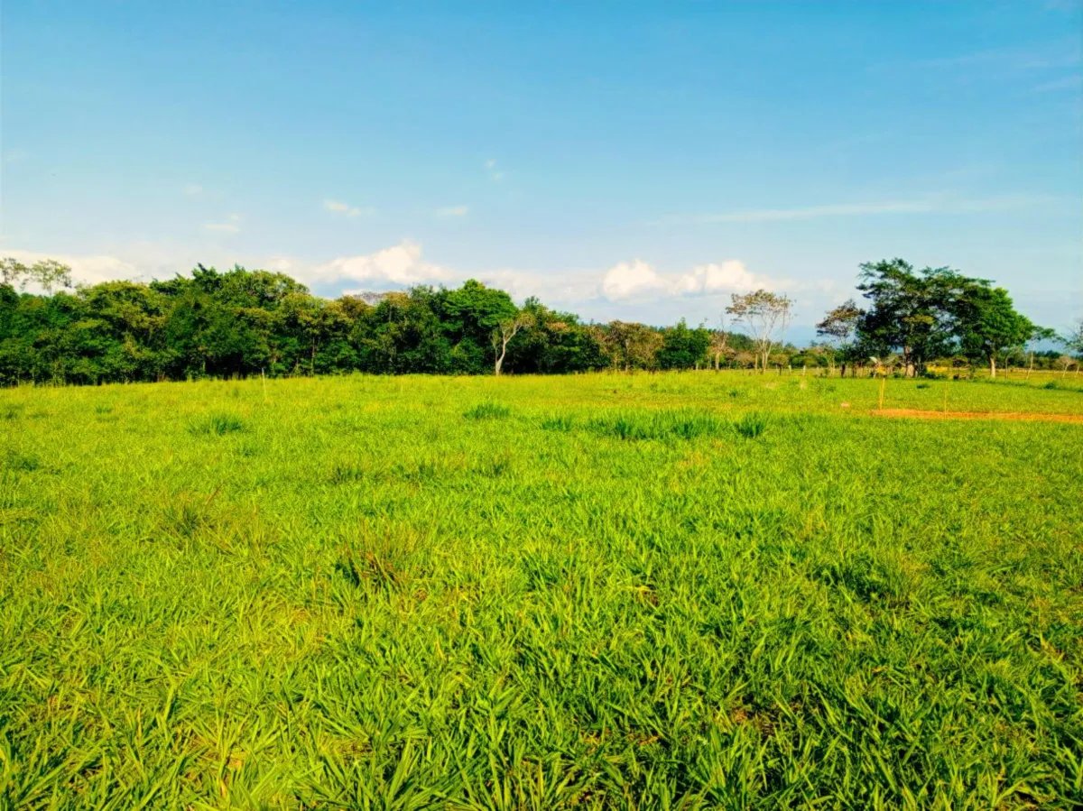 Lote a la Venta en Potrerillos |  5,879?m² |  Chiriqui  Panama