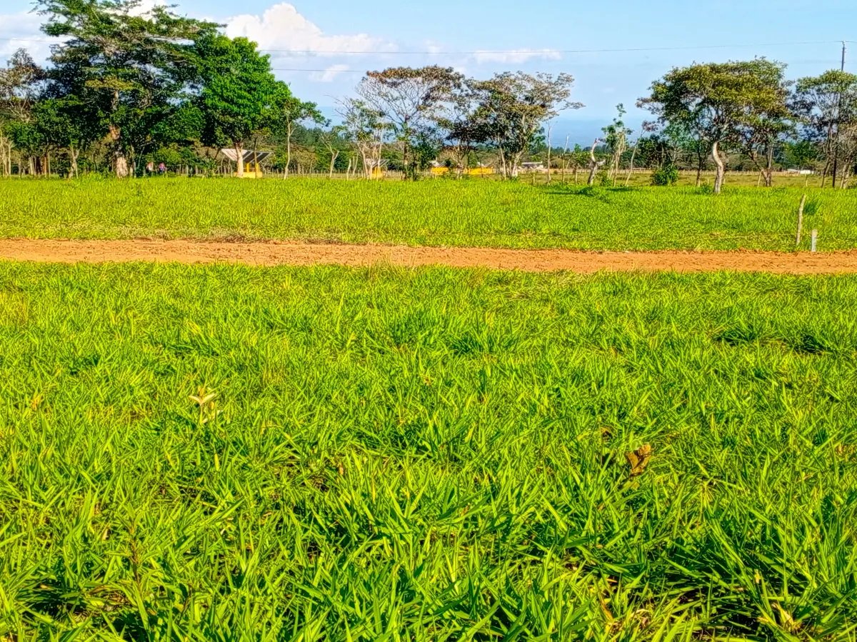 Lot For Sale in Potrerillos Arriba | 1500m² |  Chiriqui |  Panama