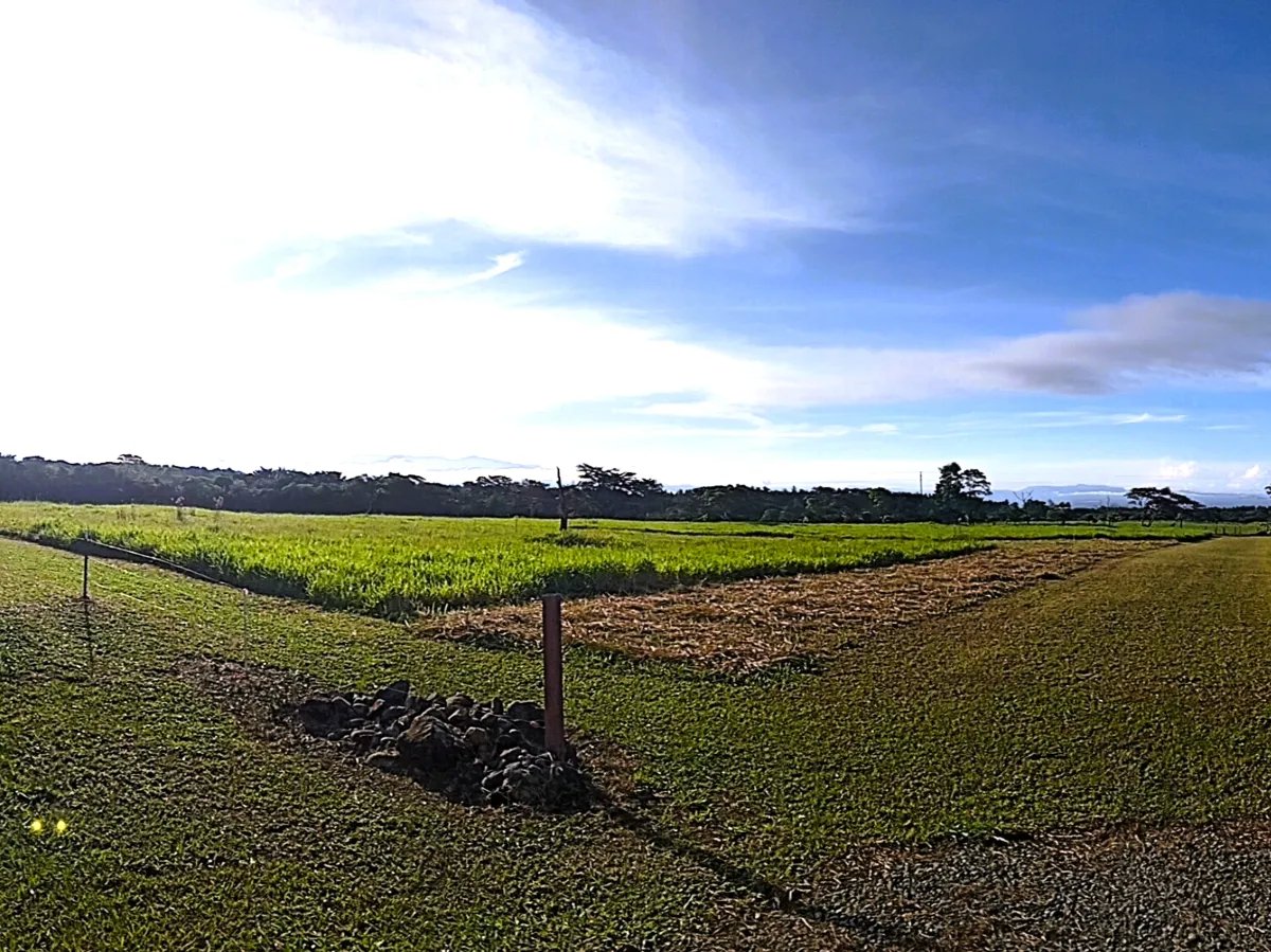 Lot For Sale in Potrerillos |  3124m² |  Chiriqui |  Panama