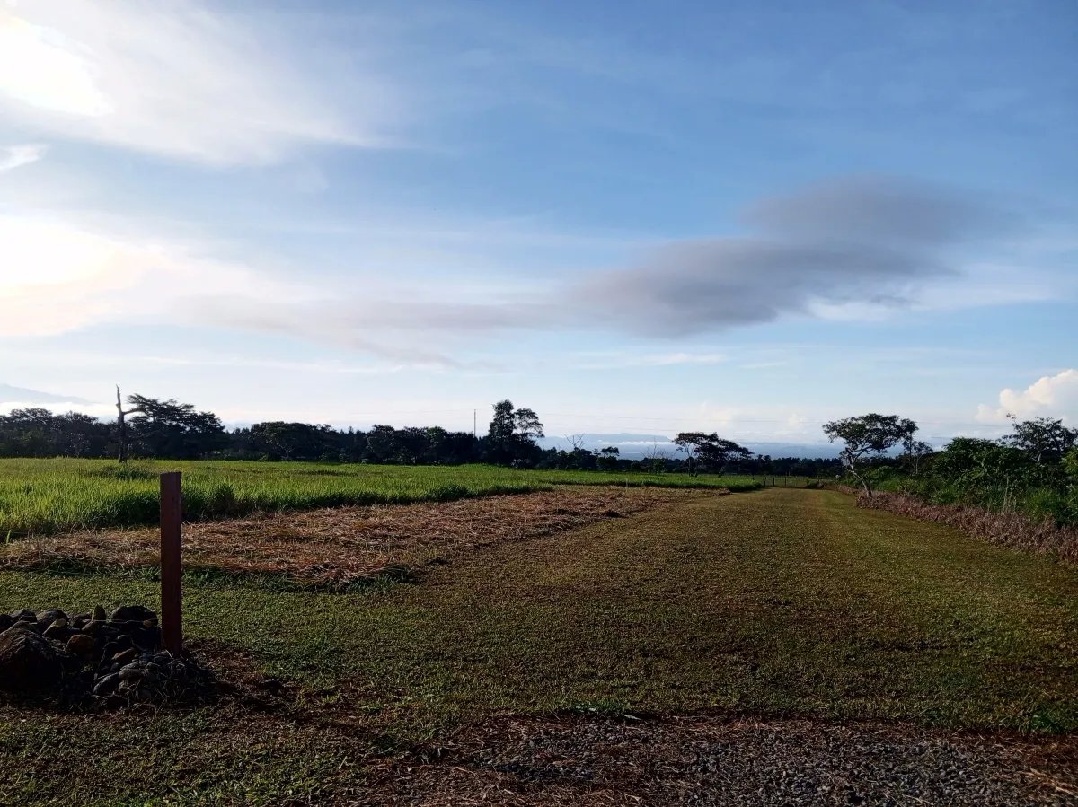 Lot For Sale in Potrerillos |  3124m² |  Chiriqui |  Panama
