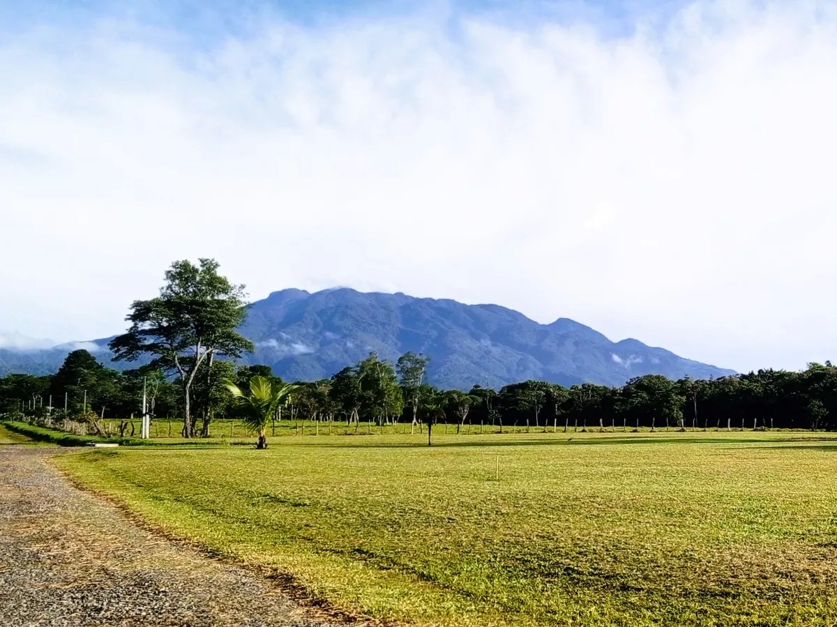 Lot For Sale in Potrerillos |  3124m² |  Chiriqui |  Panama