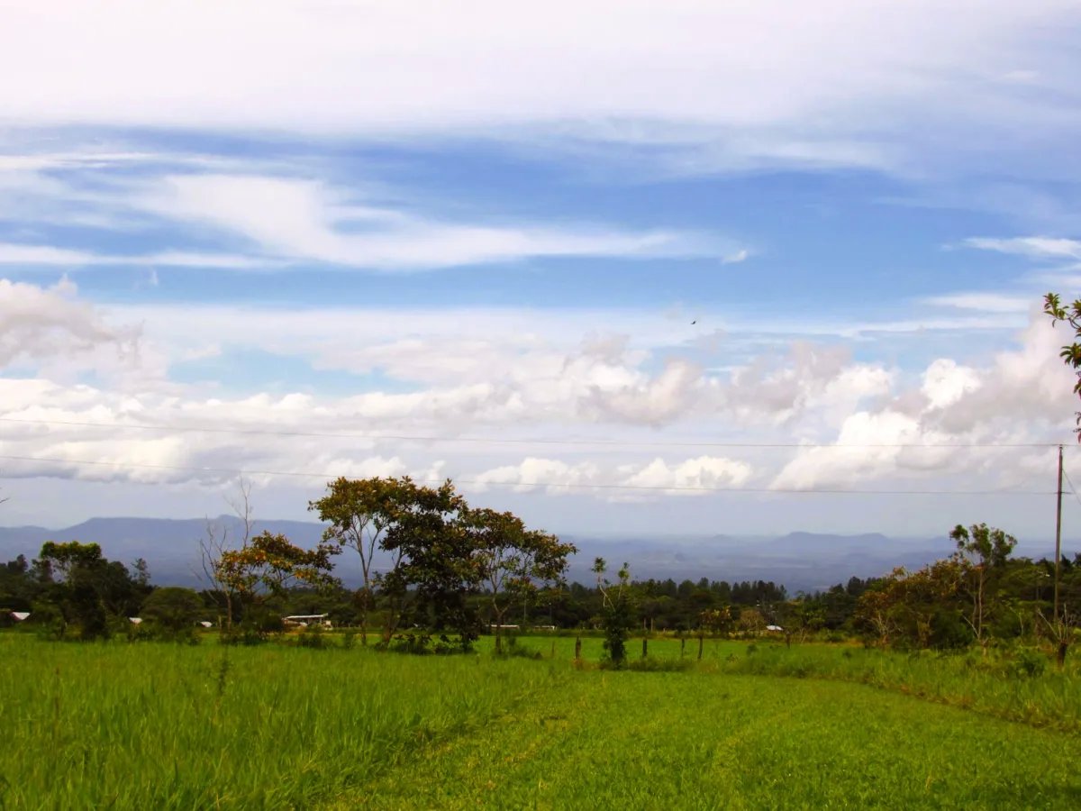 Lote a la Venta en Potrerillos | 3,072?m² | Chiriqui | Panama