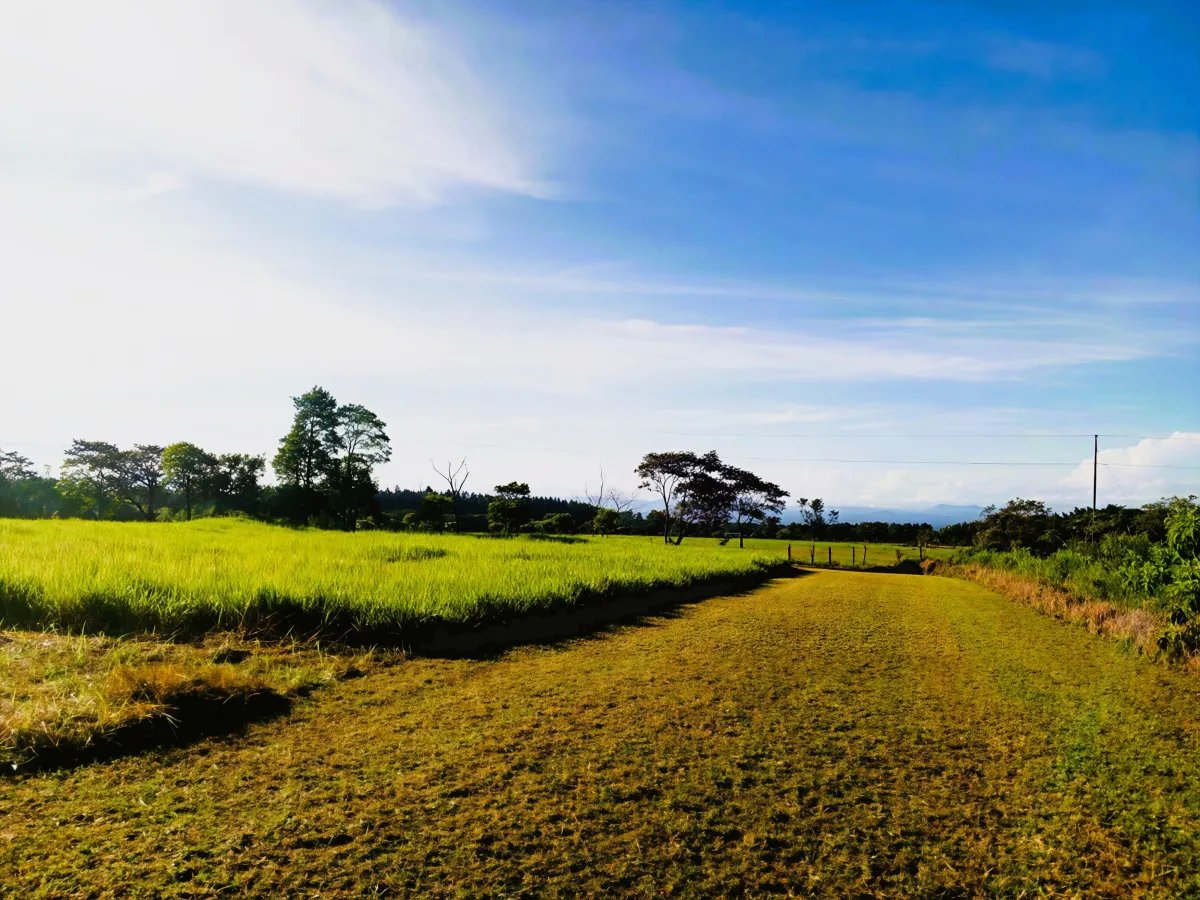 Lote a la Venta en Potrerillos | 3,072?m² | Chiriqui | Panama