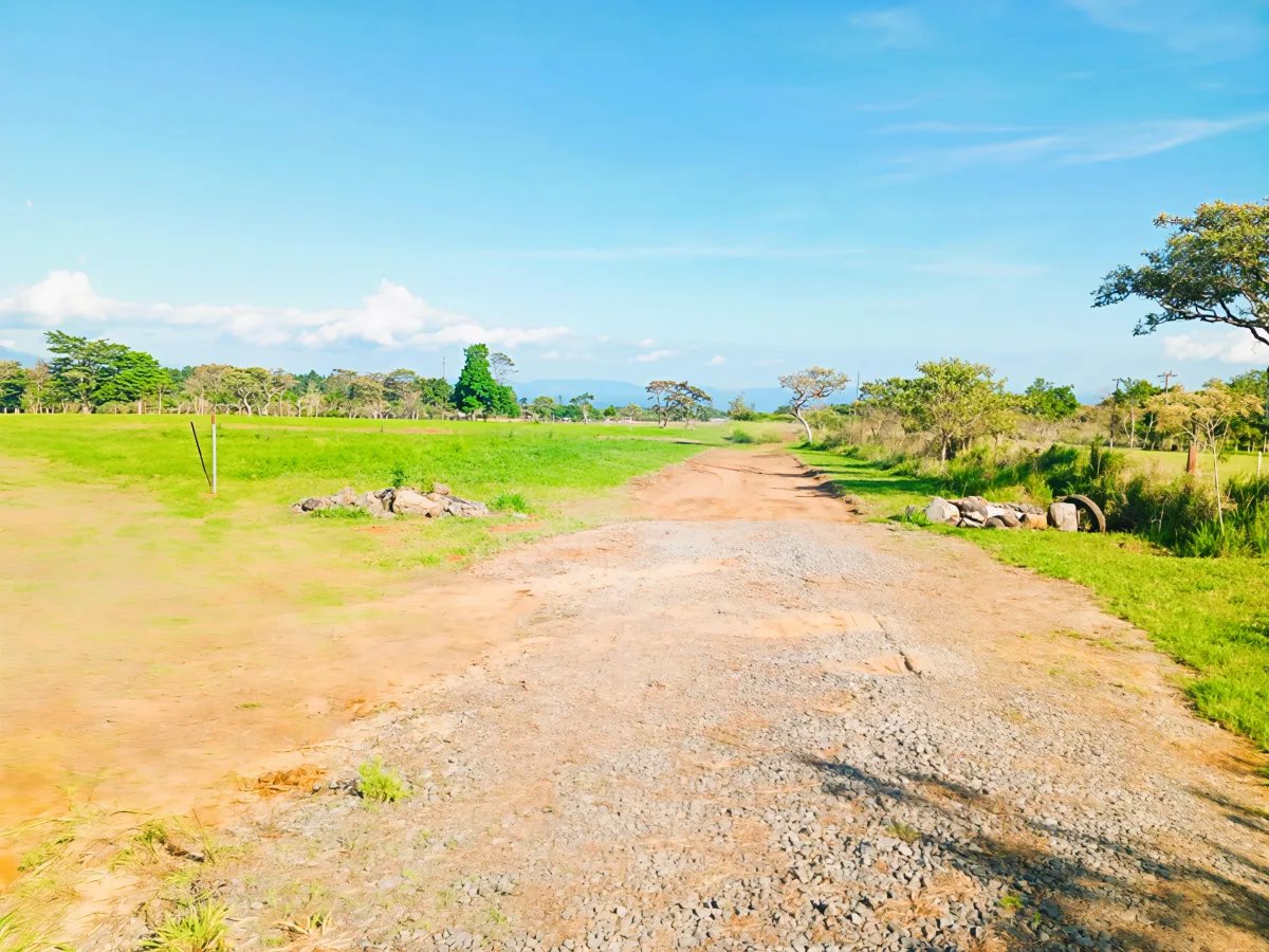 Lote a la Venta en Potrerillos | 3,072?m² | Chiriqui | Panama