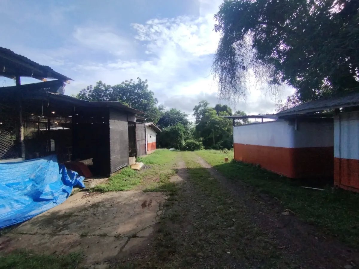 Se vende terreno con Planta Avícola