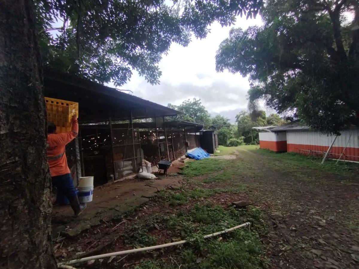 Se vende terreno con Planta Avícola