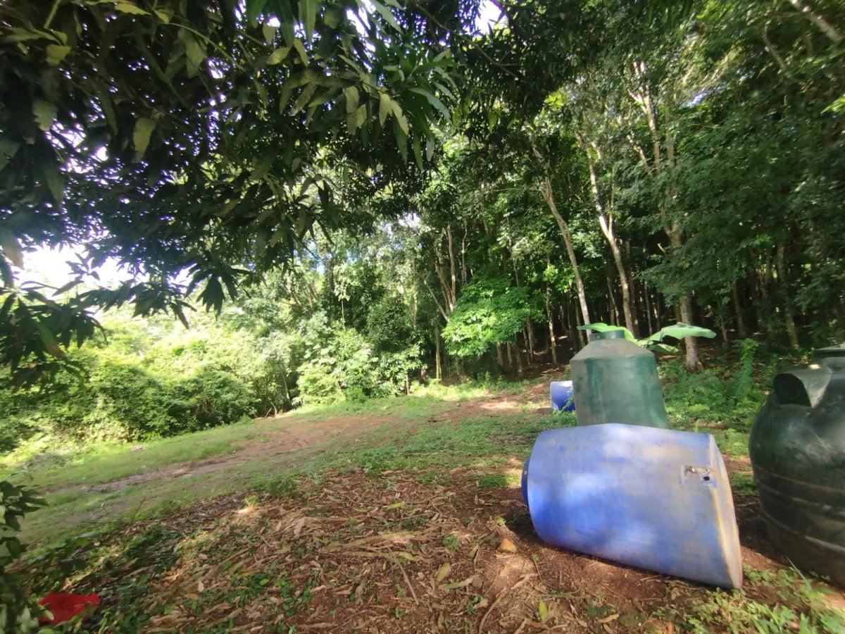 Se vende terreno con Planta Avícola