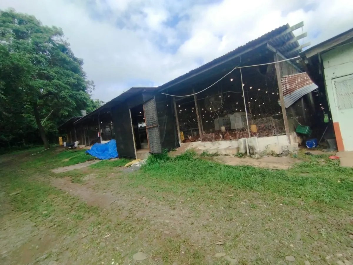 Se vende terreno con Planta Avícola