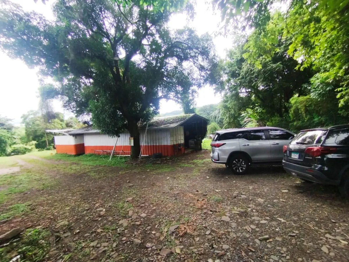 Se vende terreno con Planta Avícola