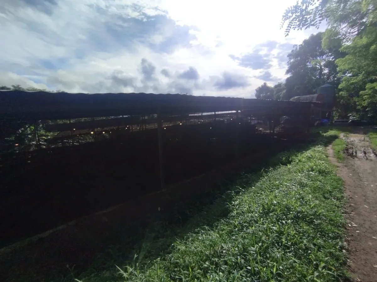 Se vende terreno con Planta Avícola