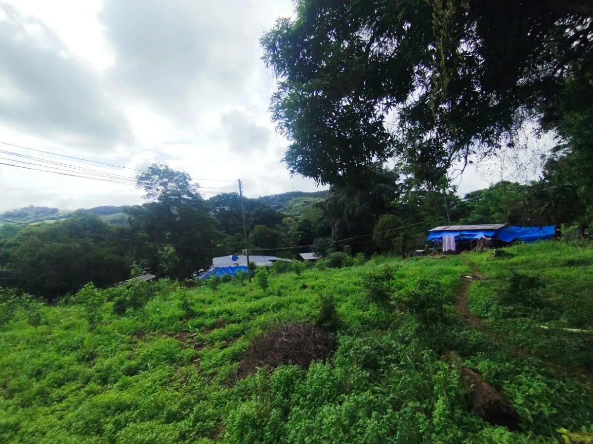 Se vende terreno con Planta Avícola